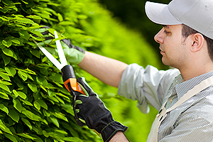 kertgondoz�s Balatonszentgy�rgy