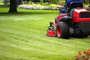 kertgondoz�s Balatonszentgy�rgy